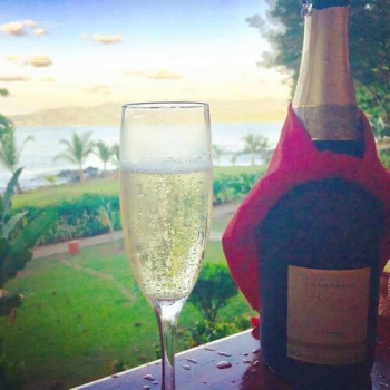 Champagne Porgeon et Fils - 