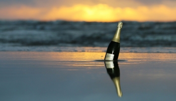 Champagne Porgeon et Fils - 