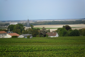 Champagne Porgeon et Fils - 